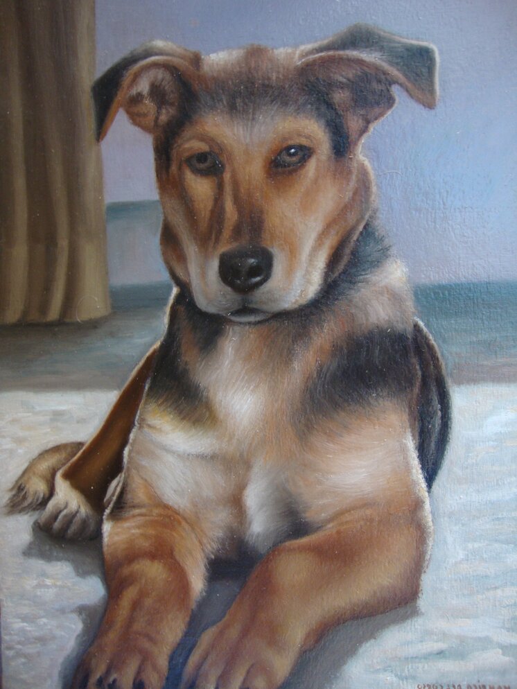 il cane olio su tavola 25 x 35.jpeg